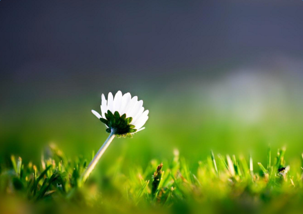 ����˵˵��ק