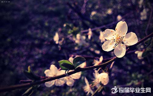 ���ں�����ĵ�qqǩ����ƴ�ȫ