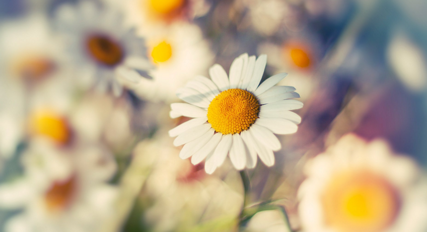 ΢����־ǩ���������