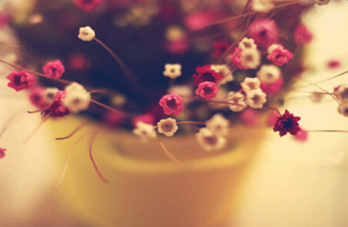 ����С���»���