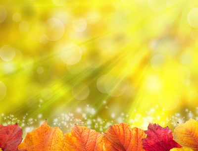 Ñô¹âͬÒå´ÊÊÇʲô