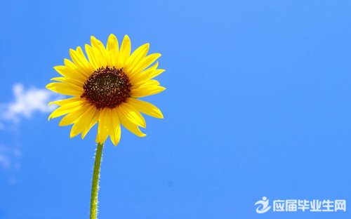 �����������˵˵����