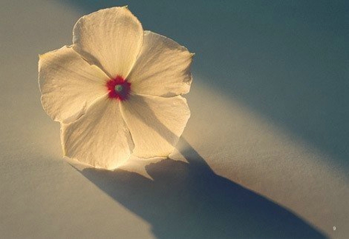 �����������˵˵����