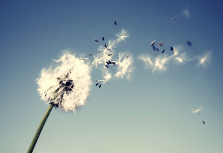 ���ʺ����еľ���ʫ��