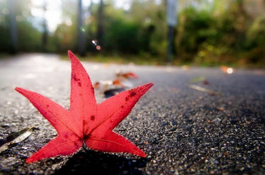 经典短小哲理故事