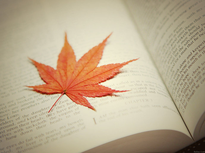 д�۲�С�����ռ�