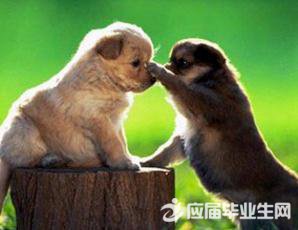 չ���Ľ������ʲô