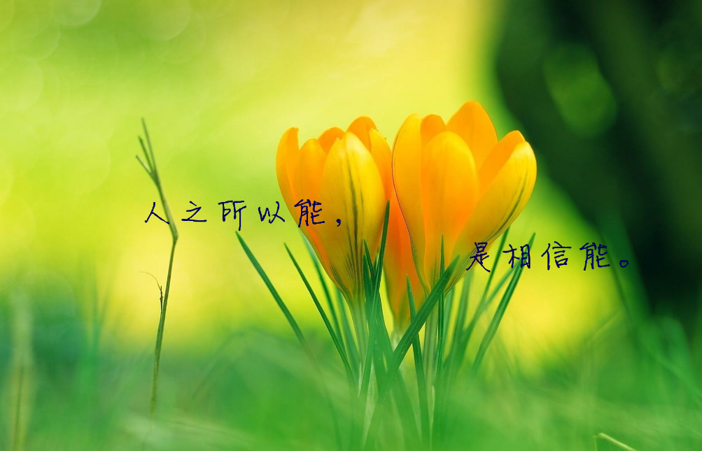 �������ϵ�������˵˵