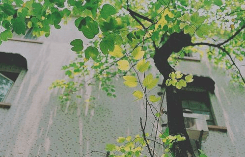 做最好的自己励志说说