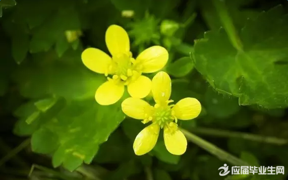 QQ�ռ������־ǩ��