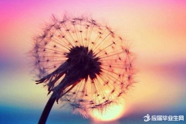 qq个性签名诗句