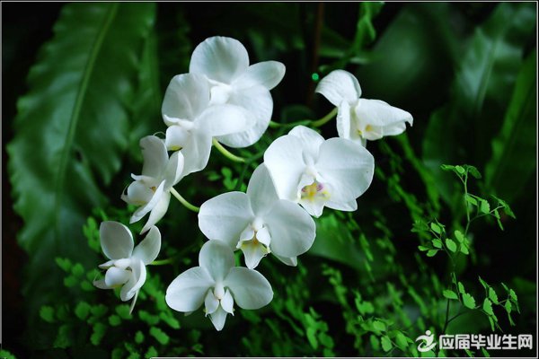 2017����ǩ�����ﾫѡ