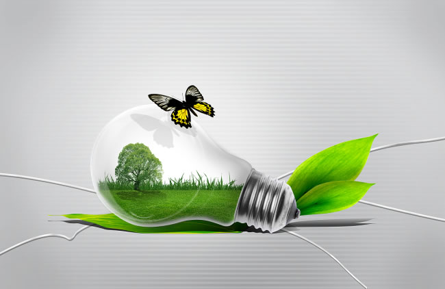 有关环保的故事 有关环保的故事