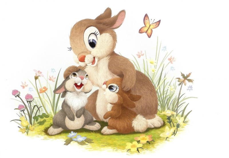 �ǻ۵�С���õĹ���