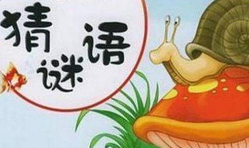 ¶¯ÎïÃÕÓï´óÈ« ¶¯ÎïÃÕÓï´óÈ«