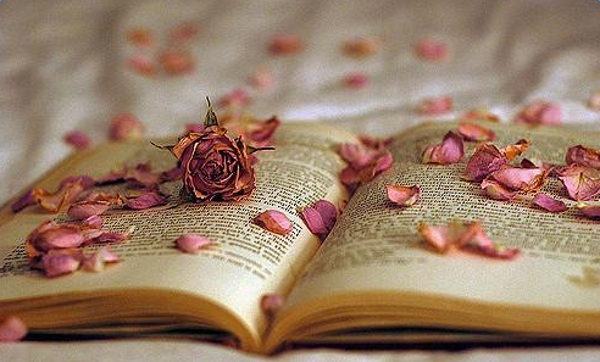 关于心情不好的说说大全