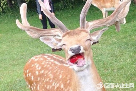 ��Ц��˵˵�������