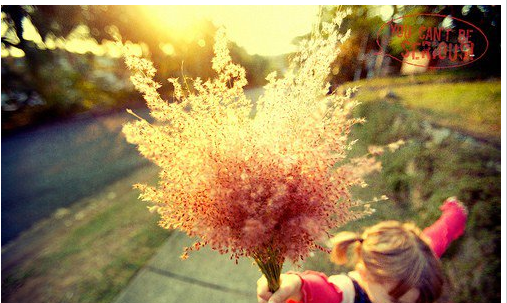 Ψ���������ǩ��