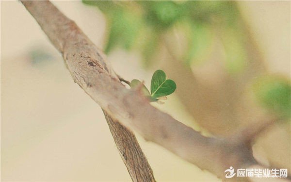 ѧ��ܾ���С����200