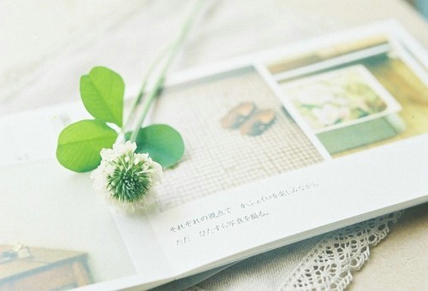 ������������˵˵��ѡ