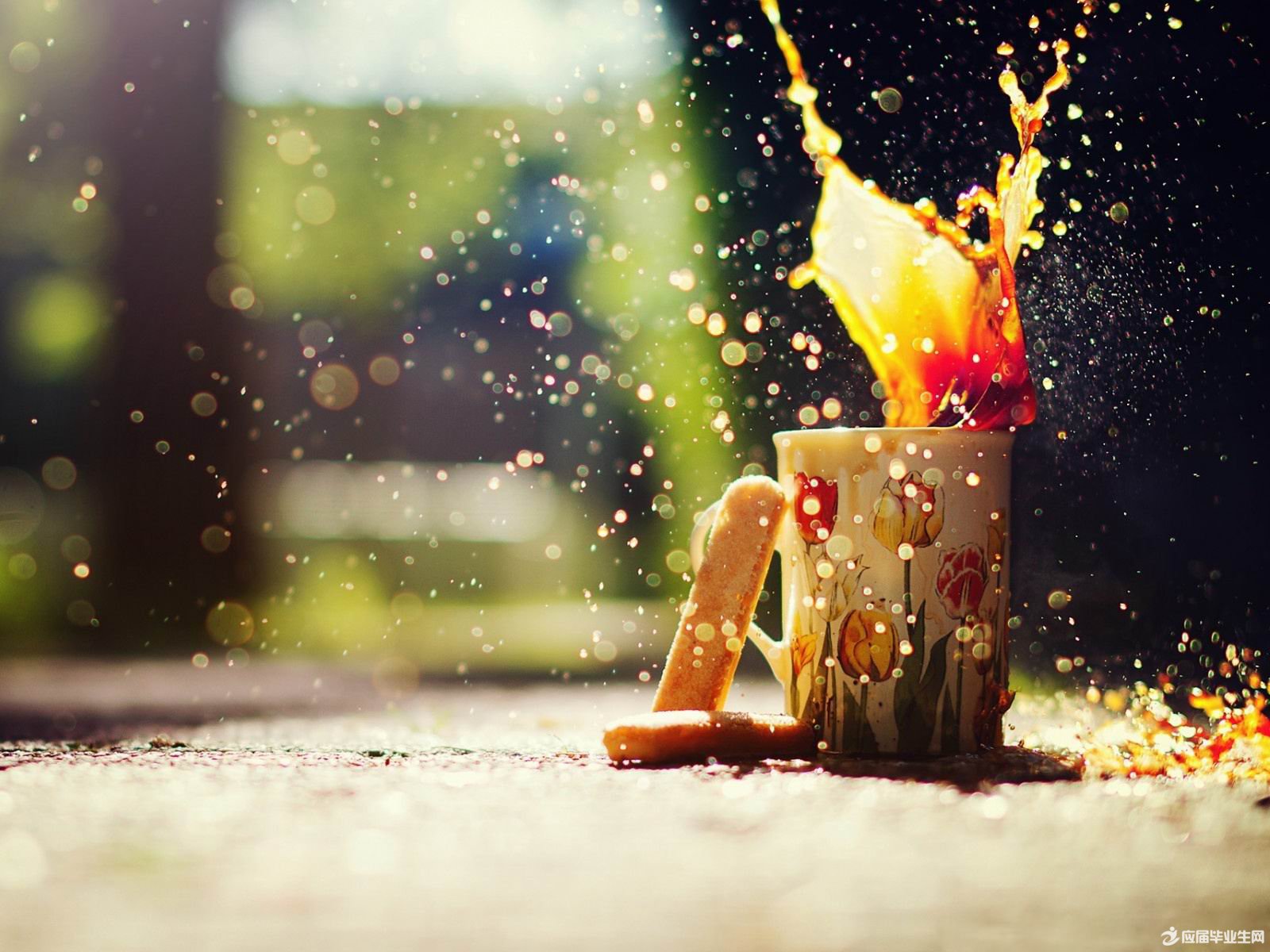 ������������˵˵��ѡ