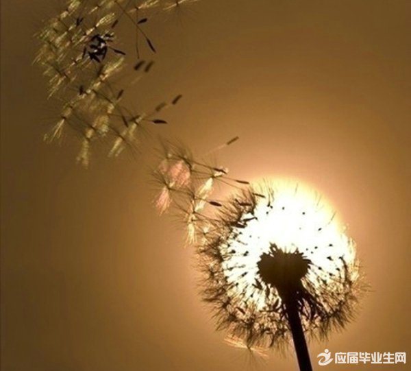 ������������˵˵��ѡ