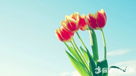 �й���־˵˵��������ȫ