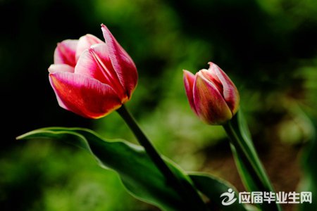 �й���־˵˵��������ȫ