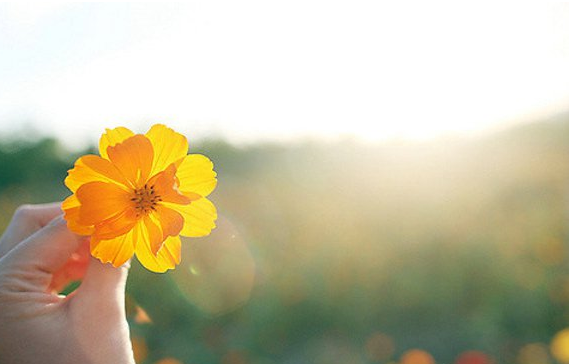 ��־��΢��ǩ��