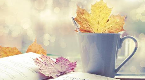 �ʺ϶��꼶���Ĺ���