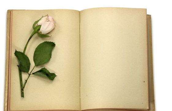 �Ž����˿̿�����С����