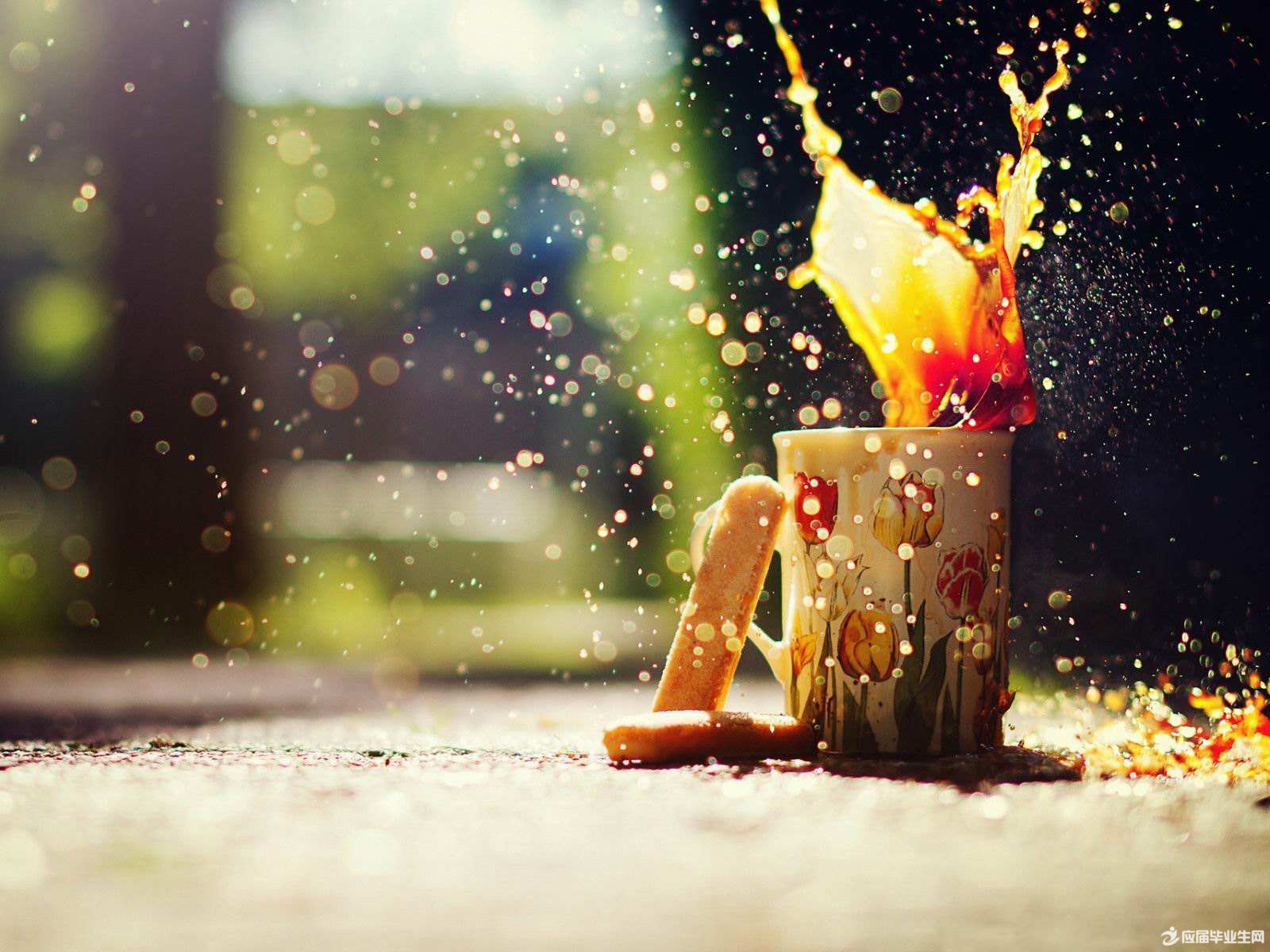 ΢�Ÿ�Ц��̸���ǩ��