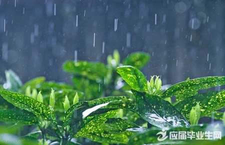 ��д��������������ɢ��