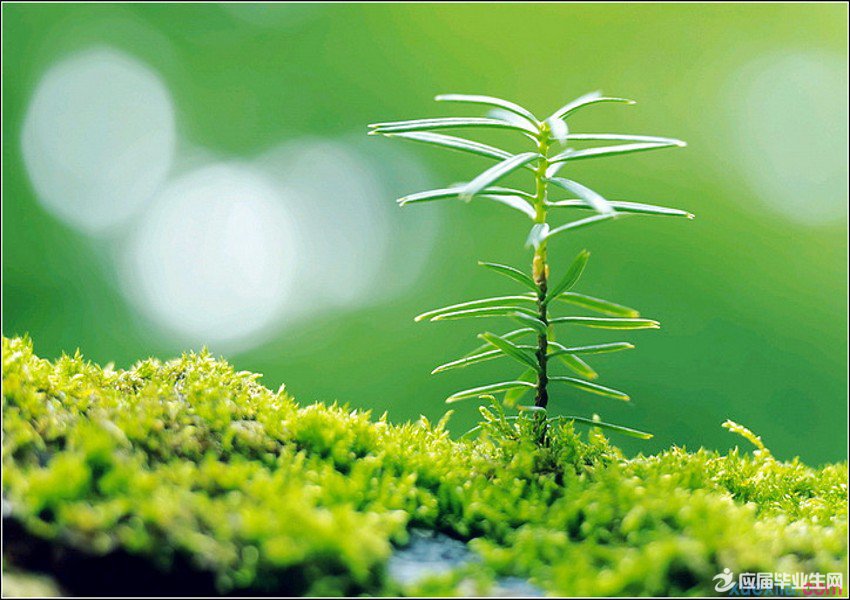 ��ƪ������־����