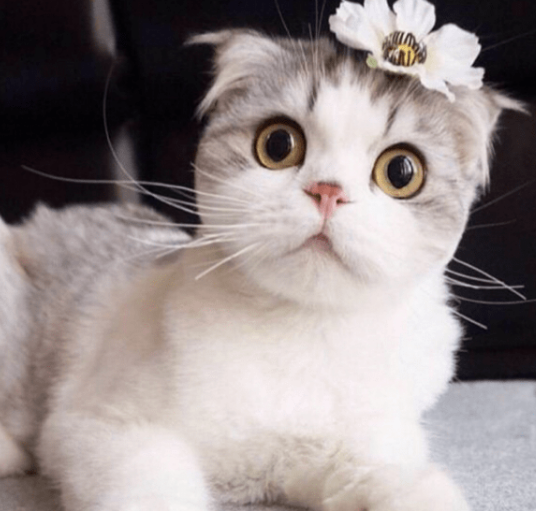 ������д����ĳ���