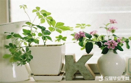 ��������ĳ���72��