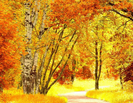 ��д��ɫ������ʫ��