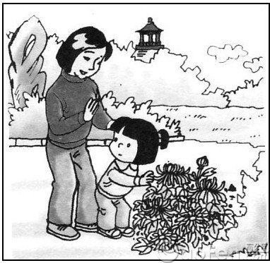 һ�꼶��ͼд������:��Ҫժ��