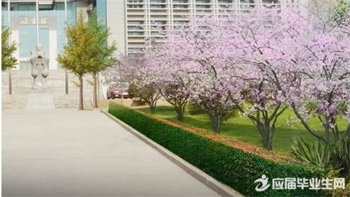 关于校园点滴散文