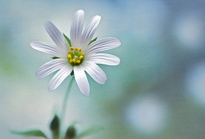 珍惜热爱生命的故事 珍惜热爱生命的故事