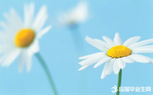 ���ѵ���������˵˵