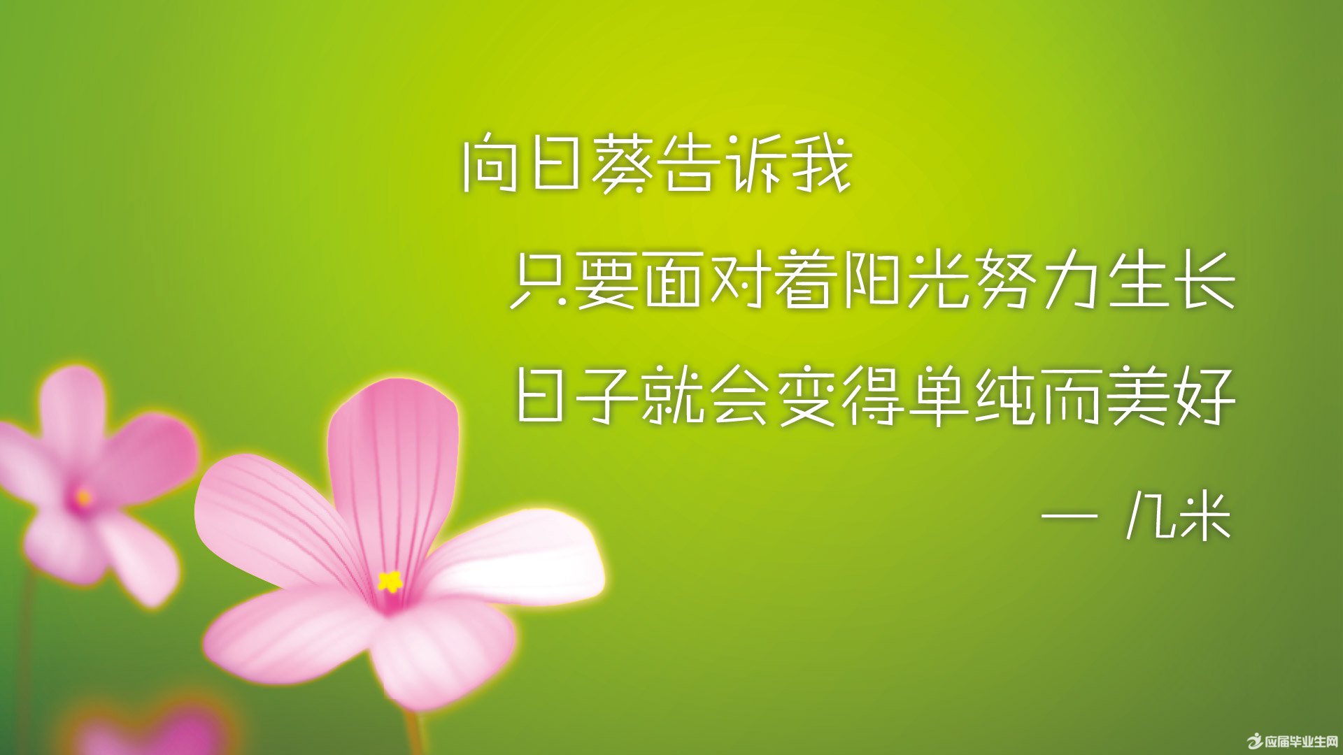 �ഺ��־����ǩ�����ģ��