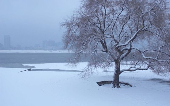 ������ִ�ʫ��