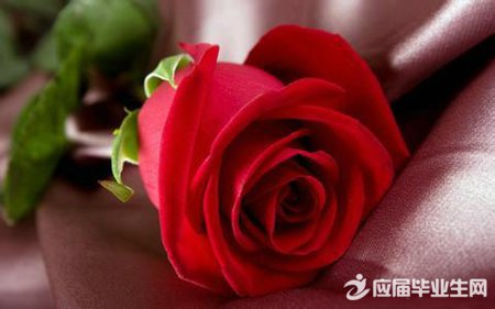 ��������ף����ʫ��