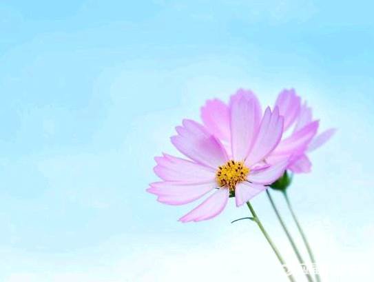 ������־С���º͸���