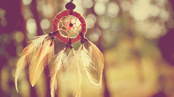 ��־����˵˵