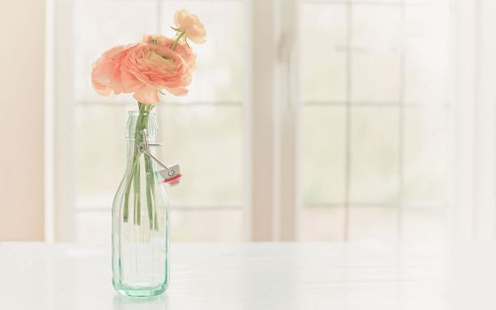 ��־����˵˵