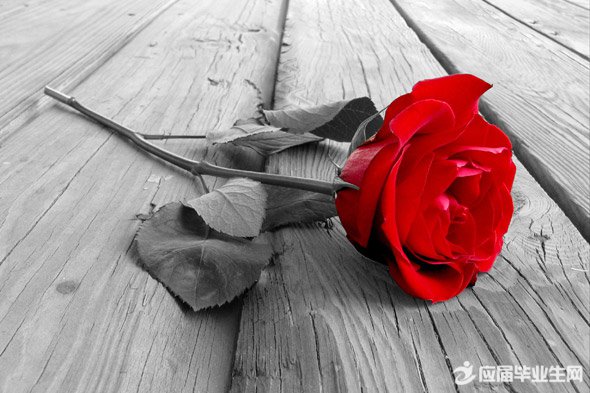 �������ĵĸ���ǩ��