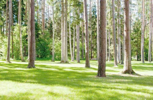 ���ͽ��㲻Ҫ����̰����־����