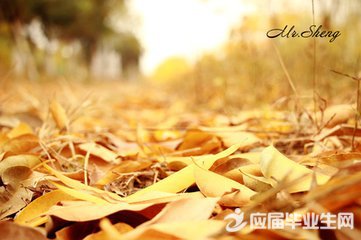 ��д�����ĳ���